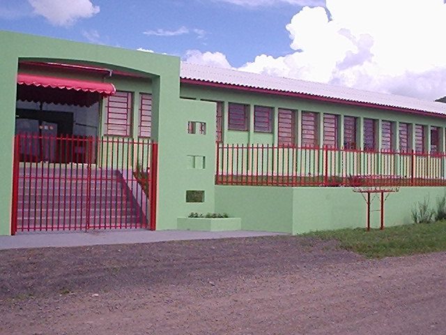 Aluna, cai, bate as costas e fica amortecida em estado sincope